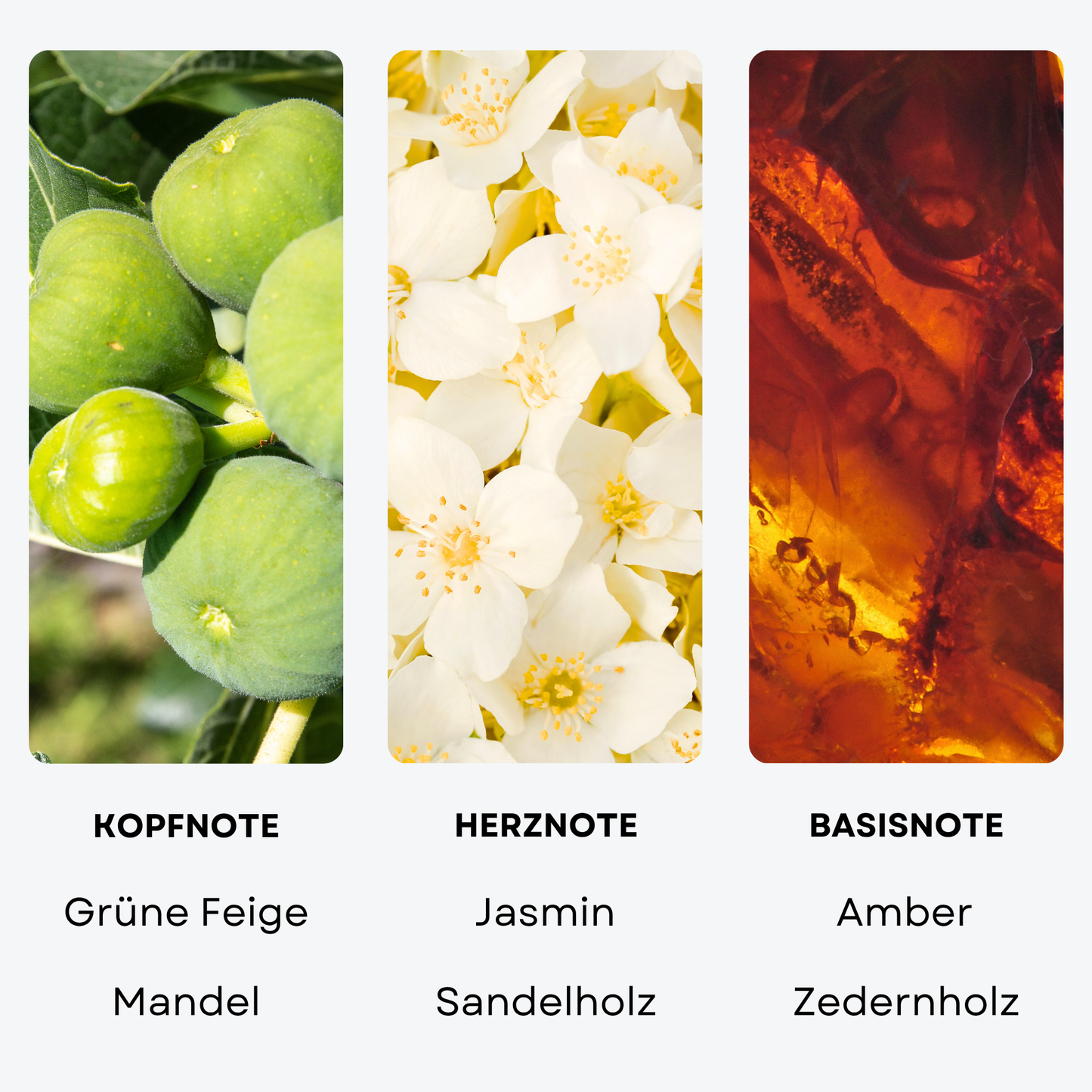 Duftöl "FOUR SEASONS"