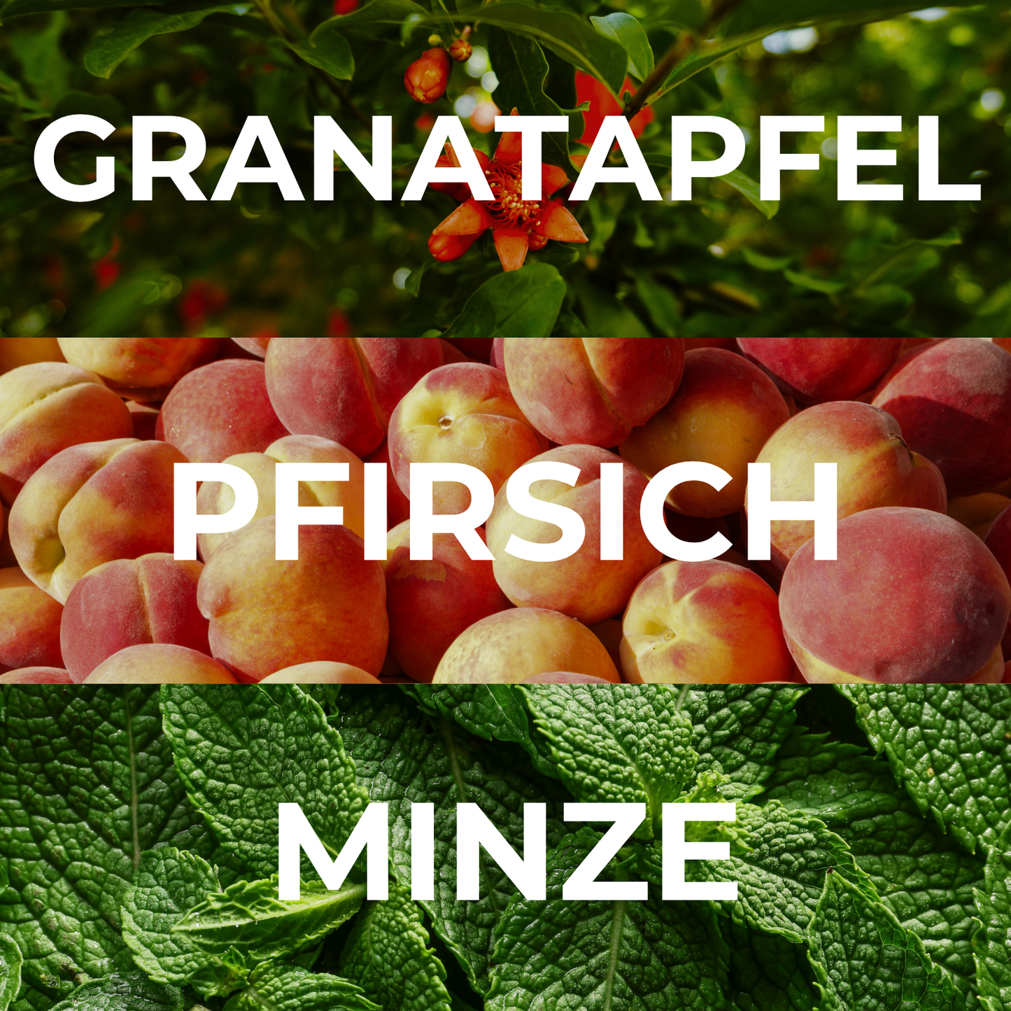 Duftkarte für Auto & Zuhause