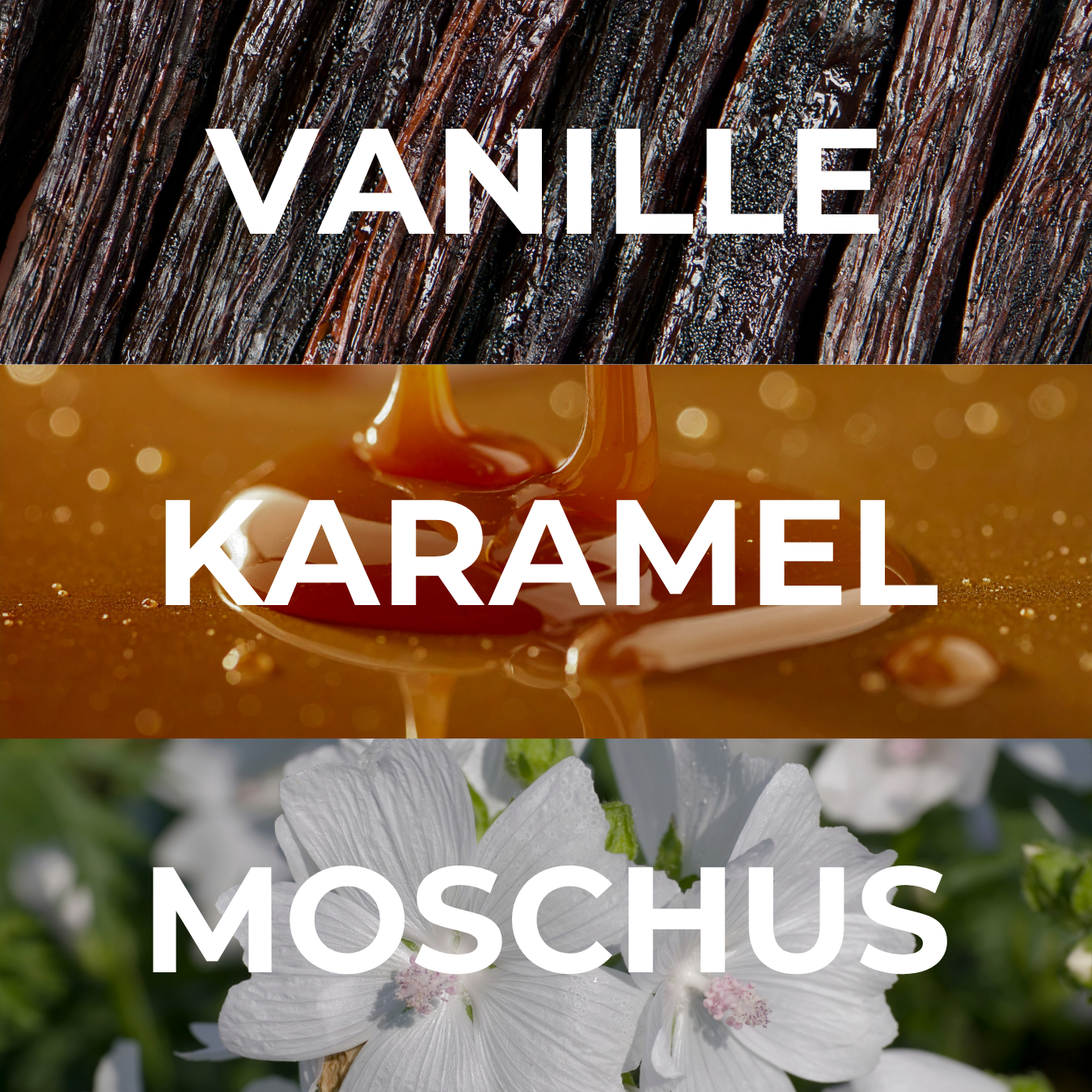 Duftöl "VANILLA AND MUSK"