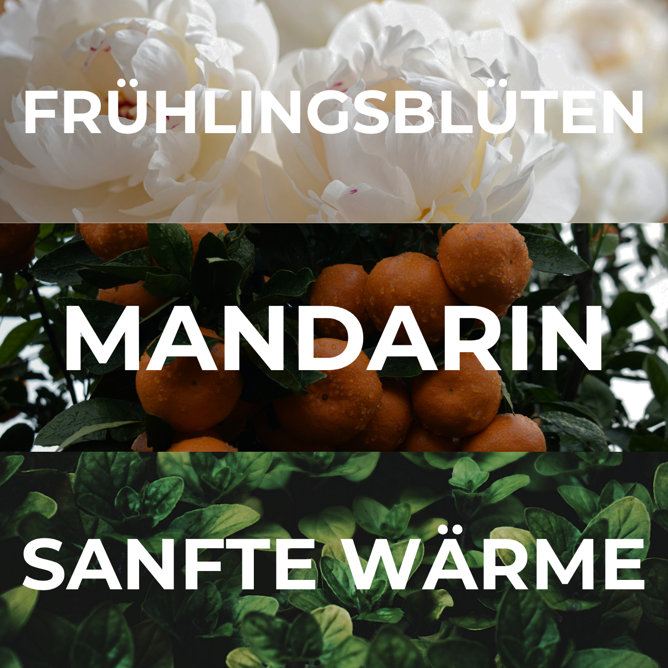 Duftöl "FRESH FLOWERS"
