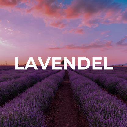 Duftöl "LAVENDER"